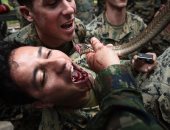 صور.. جنود أمريكيون يشربون دماء الثعابين خلال تدريبات عسكرية فى تايلاند