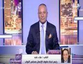 رئيس لجنة حقوق الإنسان: منظمة العفو الدولية تأسست على يد يهودى معاد للعرب (فيديو)