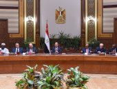 صور.. السيسي يؤكد استعداد مصر الكامل لدعم دور المحاكم الدستورية فى أفريقيا