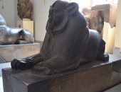 صور.. ملوك الدرج العظيم فى المتحف المصرى بالتحرير فبل افتتاحه