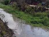 صور .. حملة مكبرة لإزالة التعديات وتطهير المصارف بكفر الشيخ 