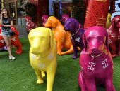 صور.. سنغافورة تحتفل بعام "الكلب" حسب التقويم الصينى