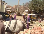 ضبط "عربة كارو" تلقى مخلفات هدم أمام مدرسة فى شبرا الخيمة 