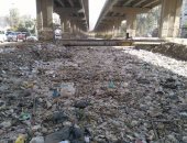 صور.. قارئ يشكو من تلال القمامة بترعة المريوطية