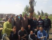 صور.. شباب قرية الطيبة بالدقهلية يتبنون مبادرة لزراعة النخيل وإنارة الطرق ورصفها