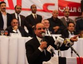 النائب هشام الشعينى: الحشد بالانتخابات لدعم السيسى أفضل رد على المتربصين بمصر