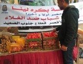 صور.. "بكرة لينا" تنظم شادر خضر بأسعار مخفضة بقرية حاجر الضبعية فى الأقصر