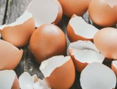 دراسة: قشر البيض المسحوق يساعد فى إصلاح تلف العظام