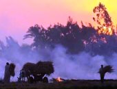 صور.. الإسماعيلية تعلن الحرب على حرق قش الأرز.. مزارعون: "عاوزين نستفيد منه"