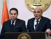 الحكومة: أسعار الضمان الجديدة للقطن 2500 جنيه للوجه القبلى و2700 للبحرى (صور)