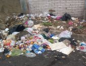 قارئ يشكو تراكم القمامة بشارع نشاطى فى روض الفرج