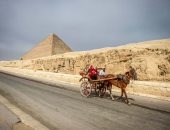 صورة اليوم.. فسحة وسط الحضارة مليانة بالحكايات