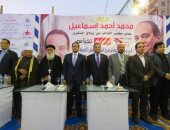 النائب محمد اسماعيل: فوز السيسي بالرئاسة يرعب أعداء مصر في الخارج والداخل