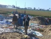 صور.. غلق معمل مخللات ببلقاس وإعدام 59 طن مجهول المصدر بالدقهلية