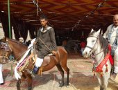 قبائل أسيوط تدعم موسى مصطفى موسى بالخيول والمزمار الشعبى (صور)