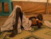 ممثل الأمم المتحدة: الصومال يواجه كارثة إنسانية بتأثر نصف السكان بالجفاف
