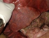 ضبط 1115 كيلو أحشاء حيوانية غير صالحة للاستهلاك الآدمى فى حملة بالفيوم