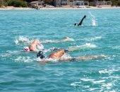 مهرجان فرنسي للسباحة لأجل توفير المياه الصالحة للشرب فى هايتي