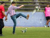صور.. "دجاجة" تثير غضب جمعيات حقوق الحيوان ضد مدير فريق فى أوروجواى