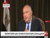 وزير الخارجية: رصدنا استهداف وسائل إعلام أجنبية لمصر وتصدينا لها