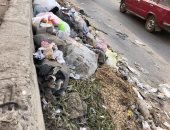 قارئ يشكو من تراكم القمامة على الطريق الدائرى للمحلة الكبرى