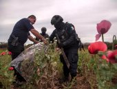 صور.. مداهمة ضد معاقل زراعة نبتة الخشخاش فى المكسيك