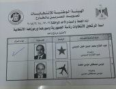 ننشر أول صورة لاستمارة الانتخابات الرئاسية للمصريين فى الخارج