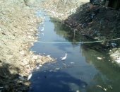 صور.. اضبط مخالفة.. مصرف "الشناوية" ببنى سويف يتسبب فى تلوث البيئة