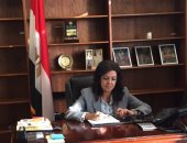 قنصل مصر فى لوس أنجلوس: مشاركة المصريين بكثافة عكس حسًا وطنيًا بالغًا