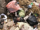 قارئ يشكو من تراكم القمامة أعلى الطريق الدائرى بالمحلة الكبرى