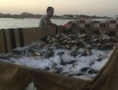 إحباط تهريب 733 كيلو من الأسماك الطازجة والمملحة عبر بحيرة ناصر