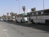 انتخابات الرئاسة 2018.. أتوبيسات اتحاد المستثمرين تنقل الناخبين مجانا بـ"العاشر"