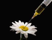 ابتكار حقنة تحتوى على ستة أنواع مختلفة من المواد المسببة للحساسية