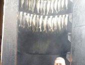 حملات مكثفه للتفتيش على الأسواق والمحال التجارية ومصانع الأسماك  بالشرقية