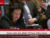 بريطانيا:روسيا تتلاعب بالقوانين والمؤسسات الدولية وجمعنا آلاف الوثائق حول "سكريبال"