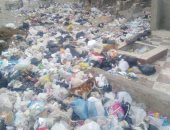 صور.. قارئ يشكو من تراكم القمامة أمام مدرسة طارق بن زياد بالدويقة