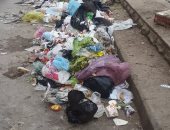 شكوى من انتشار القمامة بطريق صلاح سالم فى منيا القمح بالشرقية