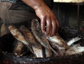 صور.. الفسيخ المنزلى ينافس محلات الإسماعيلية توفيرا لنفقات أكلة شم النسيم