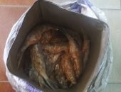 ضبط فسيخ فاسد بسوق الأحد فى السويس