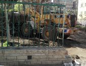 تطوير محيط شجرة مريم بالمطرية ورفع الإشغالات من 5 شوارع