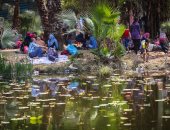محافظ القليوبية: فتح الحدائق والمتنزهات بالقناطر الخيرية والمدن مجاناً في اعياد الربيع