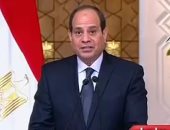 أ ش أ: مصر مركز إقليمى للطاقة وربط كهربائى مع دول الجوار فى اهتمامات السيسى