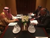 سامح شكرى ووزير خارجية الكويت يؤكدان أهمية تغليب الحل السياسى للأزمة السورية