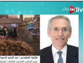 فيديو .."التصديرى للحاصلات" يكشف أسباب زيادة الصادرات الزراعية