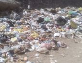 قارئ يشكو من انتشار القمامة بشارع أحمد عصمت فى عين شمس