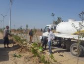 صور.. حملة تشجير وتجميل مصيف بلطيم بكفر الشيخ استعدادا لموسم الصيف