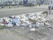 انتشار القمامة بشارع "مؤسسة الزكاة" فى المرج