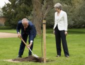 صور.. رئيس وزراء أستراليا يزرع شجر البلوط فى حديقة مقر الحكومة البريطانية
