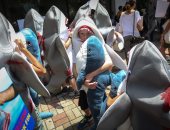 صور.. نشطاء صينيون يحتجون على استخدام سمك القرش فى الغذاء بهونج كونج