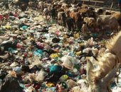 القمامة تغزو كوبرى ميت نما بالقليوبية وآلاف المواطنين يعانون منها يوميا